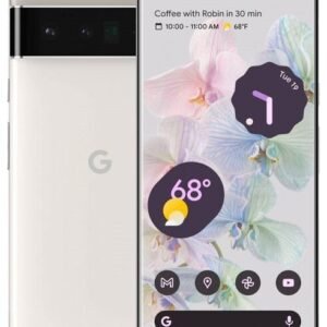 Pixel 6 Pro